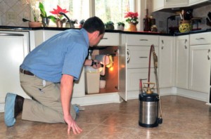 Control Ants in Southern California