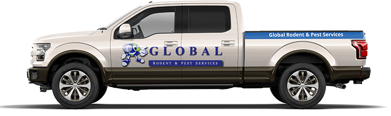 Gam-Exterminating-Truck